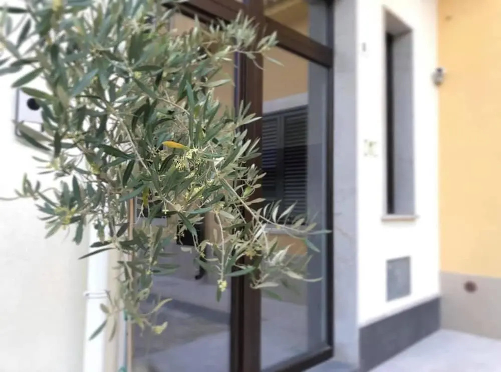Terra di Sicilia Luxury Centro