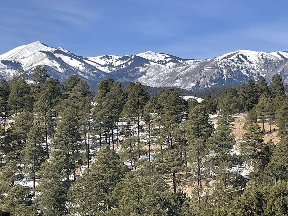 Adobe Mountain Views - Four Bedroom Cabin with Hot Tub