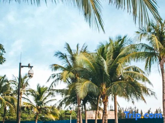 Oceanfront Born Sea View Hotel (Boao Golden Bay Nanhai Museum Branch)