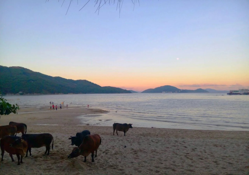 Silvermine Beach Resort