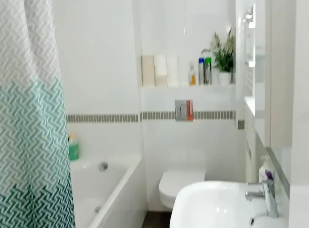 Apartment Cankareva