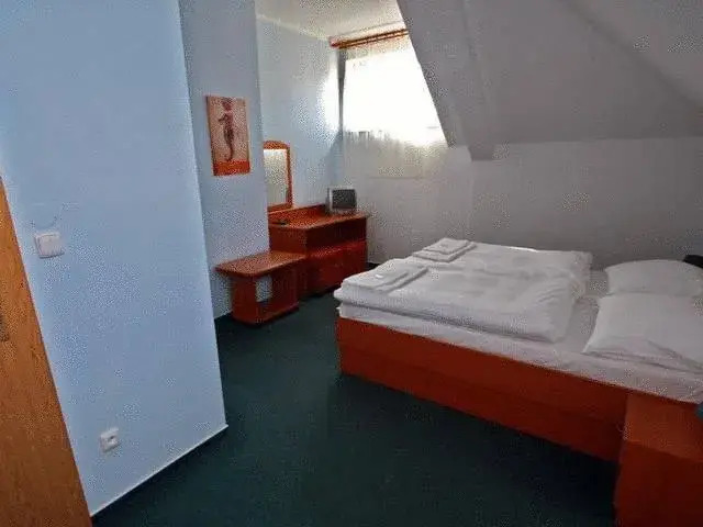 Hotel Čech