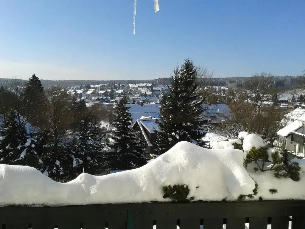 Maisonette Apartment am Kurpark