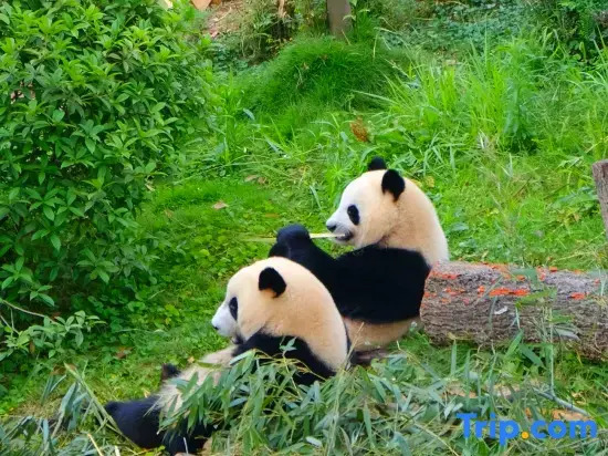 Jiu Yan Qiao Manxin Hotel at Chengdu Taikooli