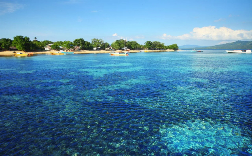 Bunaken Oasis Dive Resort and Spa