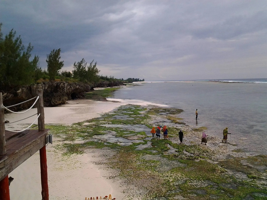 Sunshine Marine Lodge