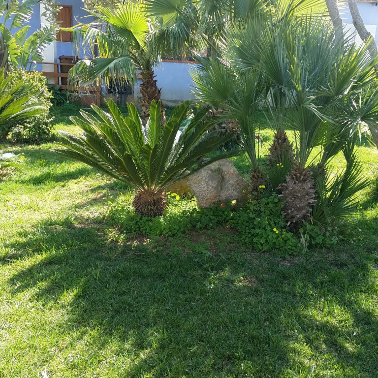 B&B Villa Francesco