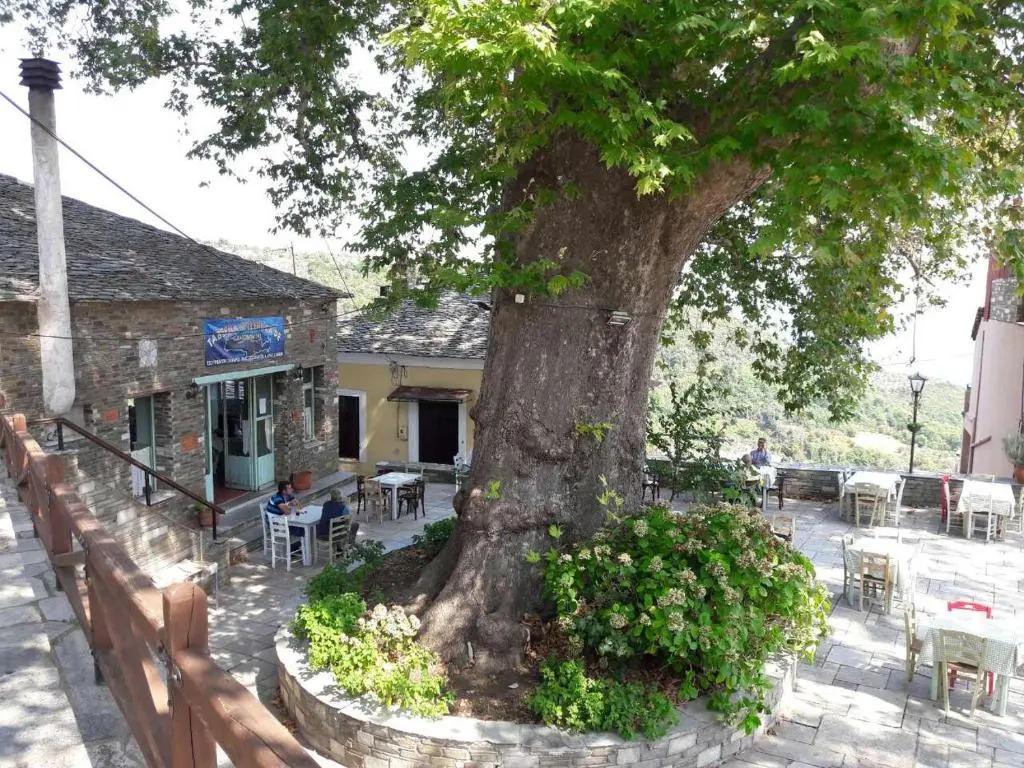 Apartments Spiros Pelion