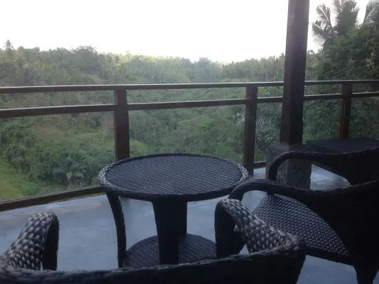 Bali Ubud Villa View