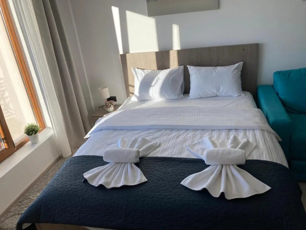 Ivkovic spa Milmari N16