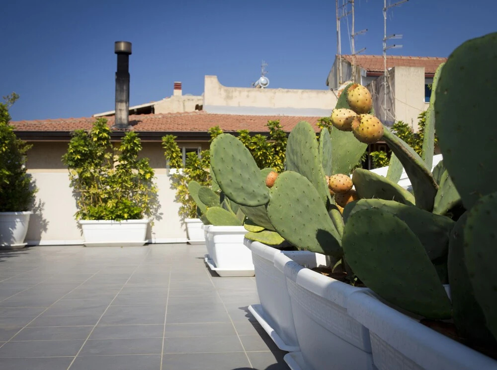 Apartment in Donnalucata With Veranda 1