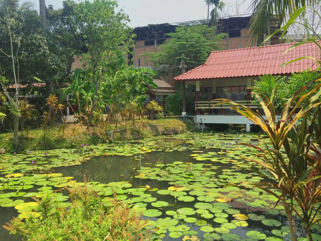Rom Thai Guesthouse