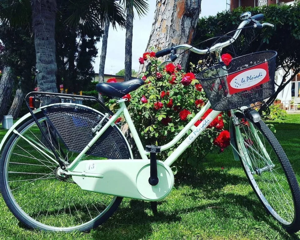 La Serena Forte dei Marmi, Small Luxury Hotels of the World
