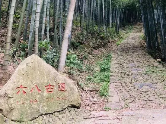 Zuoshangyun Guesthouse