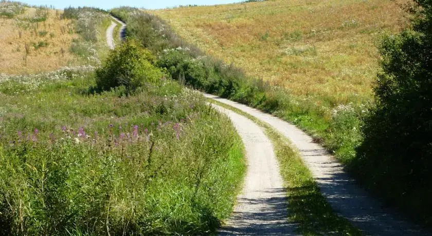 Trangemosegaard