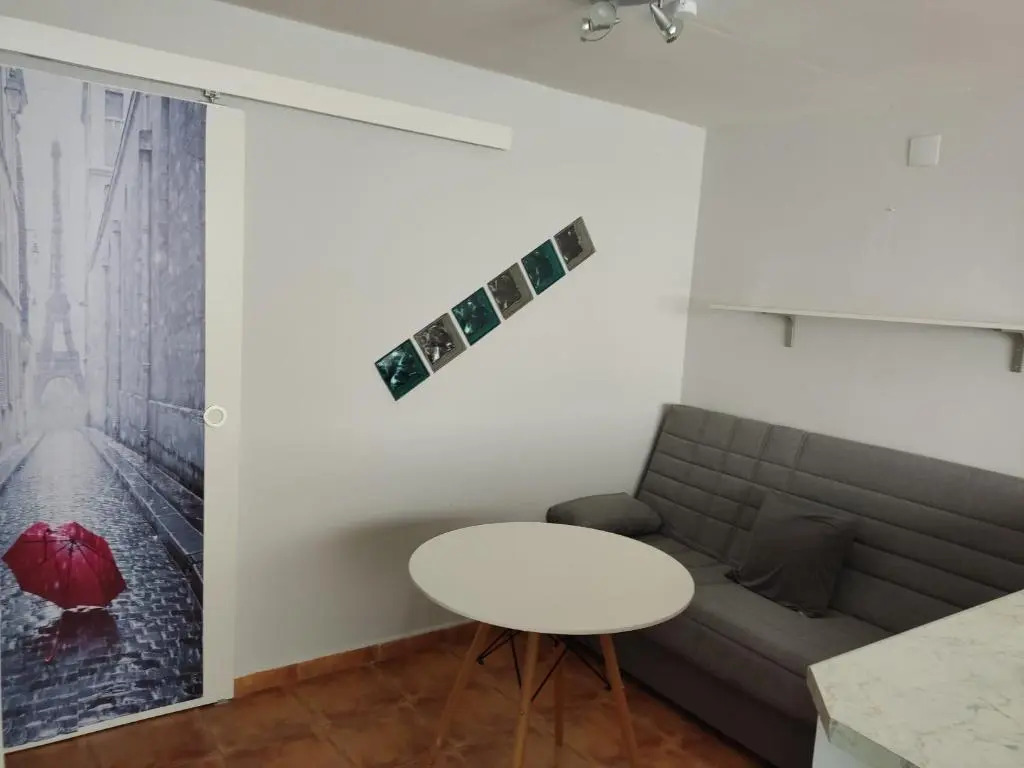 Apartamento 40m2 con terraza chillout de 20m2 totalmente equipado en casco historico