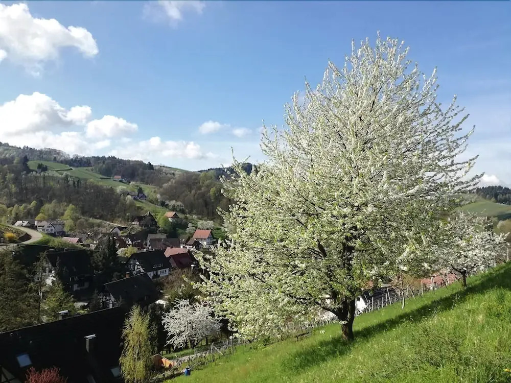 Landgasthof Engel