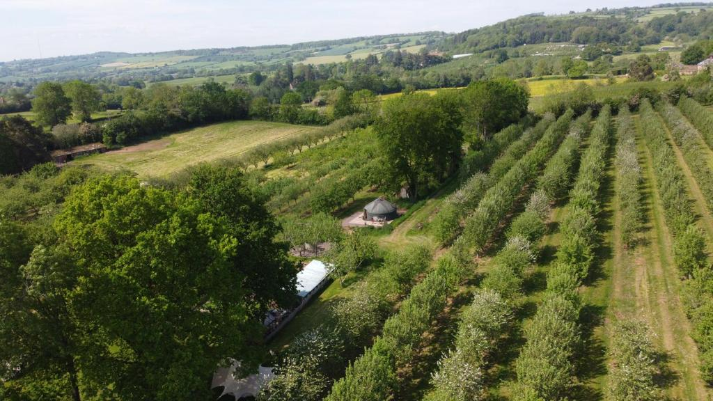 Dragon Orchard Retreat