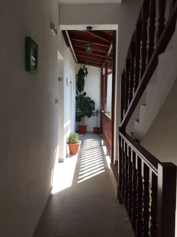 Studios Nopi-Zoi