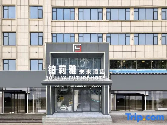 Boliya Future Hotel