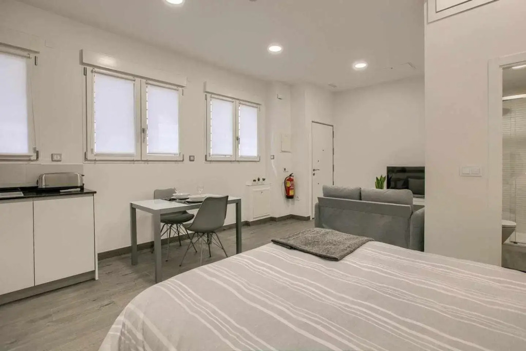 RiNa MADRID apartamento 2
