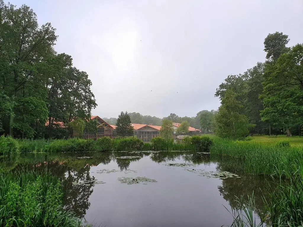 Stacja Nowa Gdynia Bed & Breakfast Aquapark