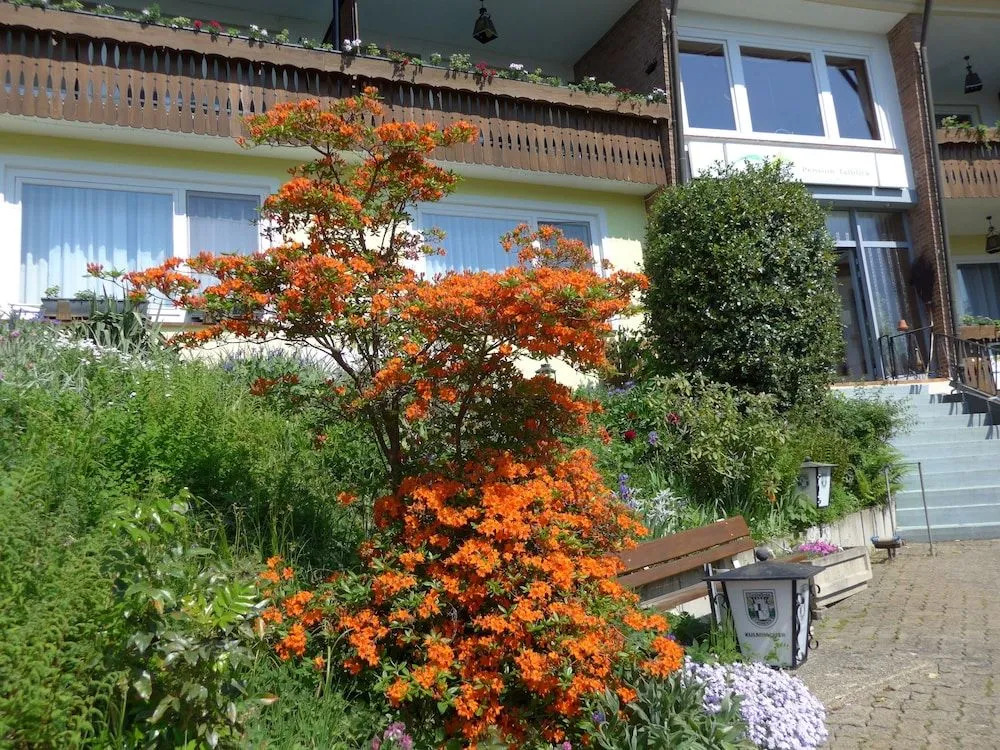Pension Talblick Bad Grund