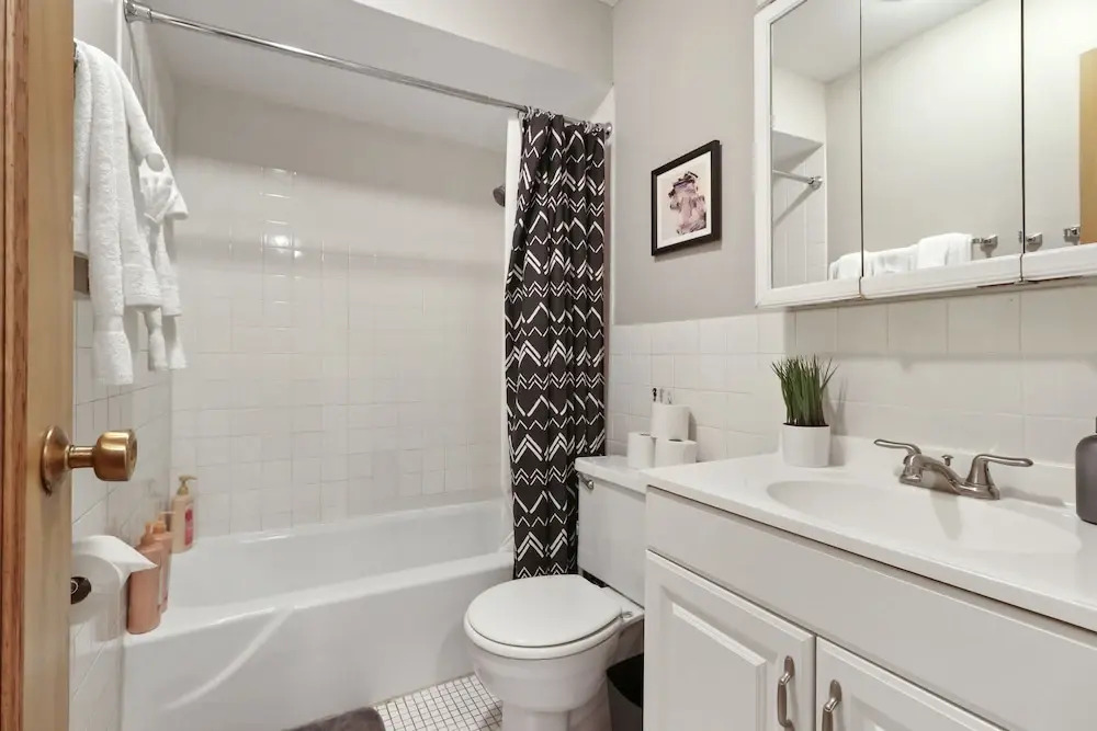 Fully Furnished Studio Apt in Lakeview