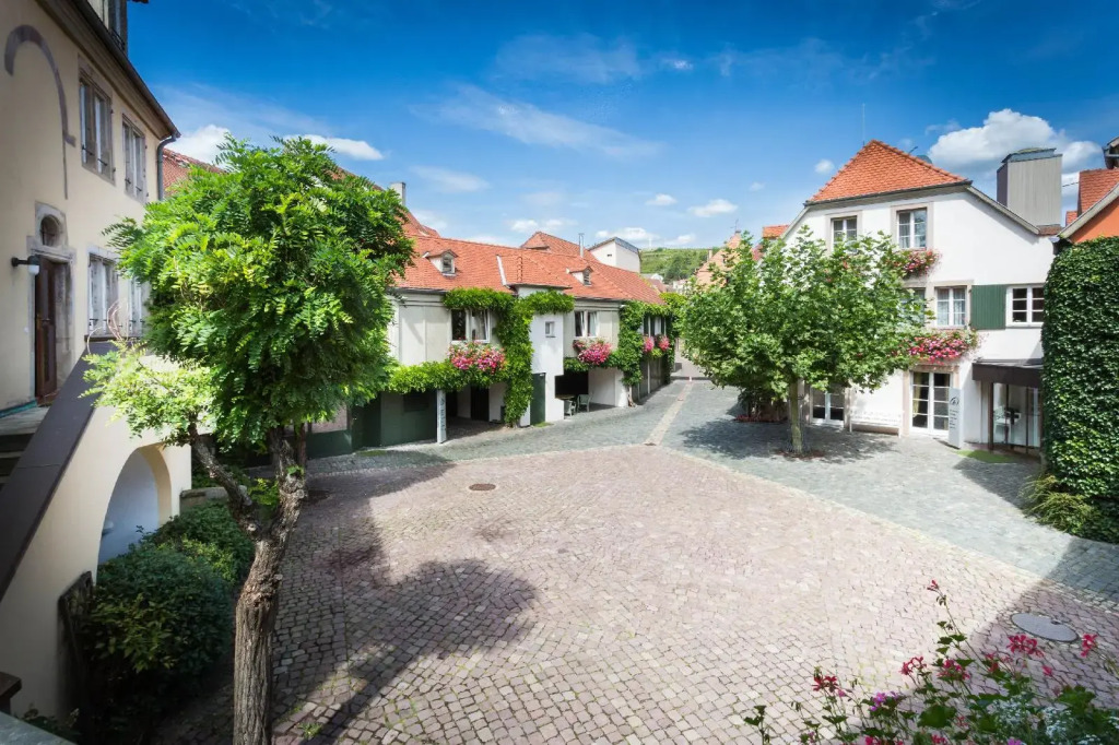 Hotel & Spa A la cour dAlsace by HappyCulture