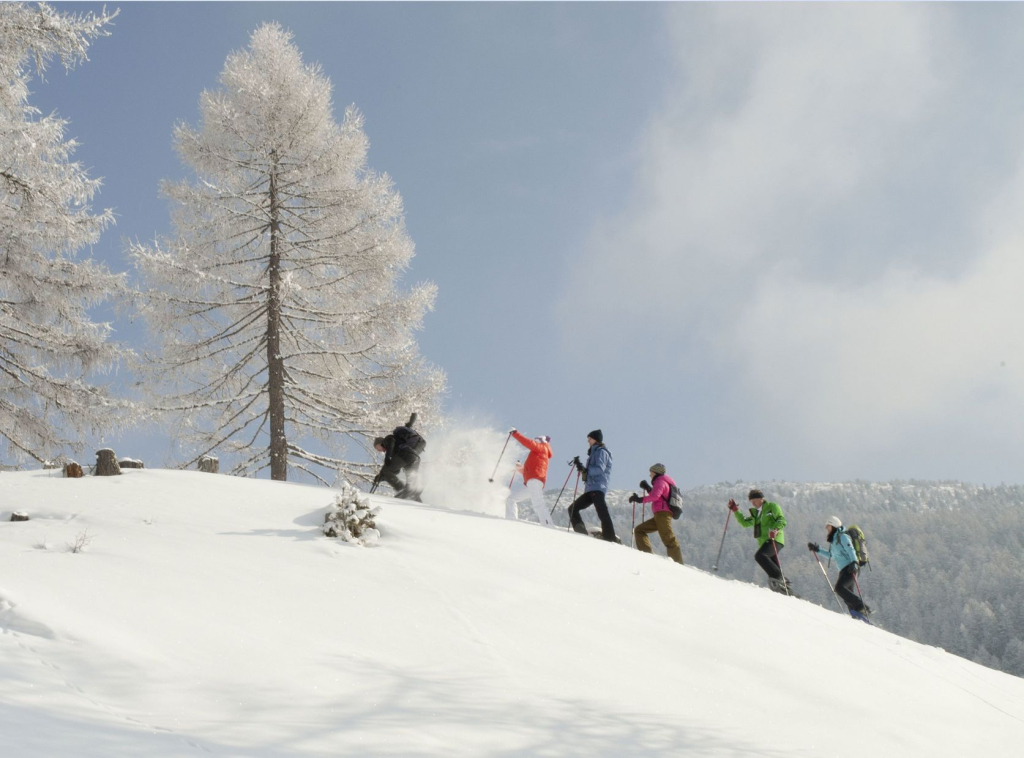 Chalet Alpin