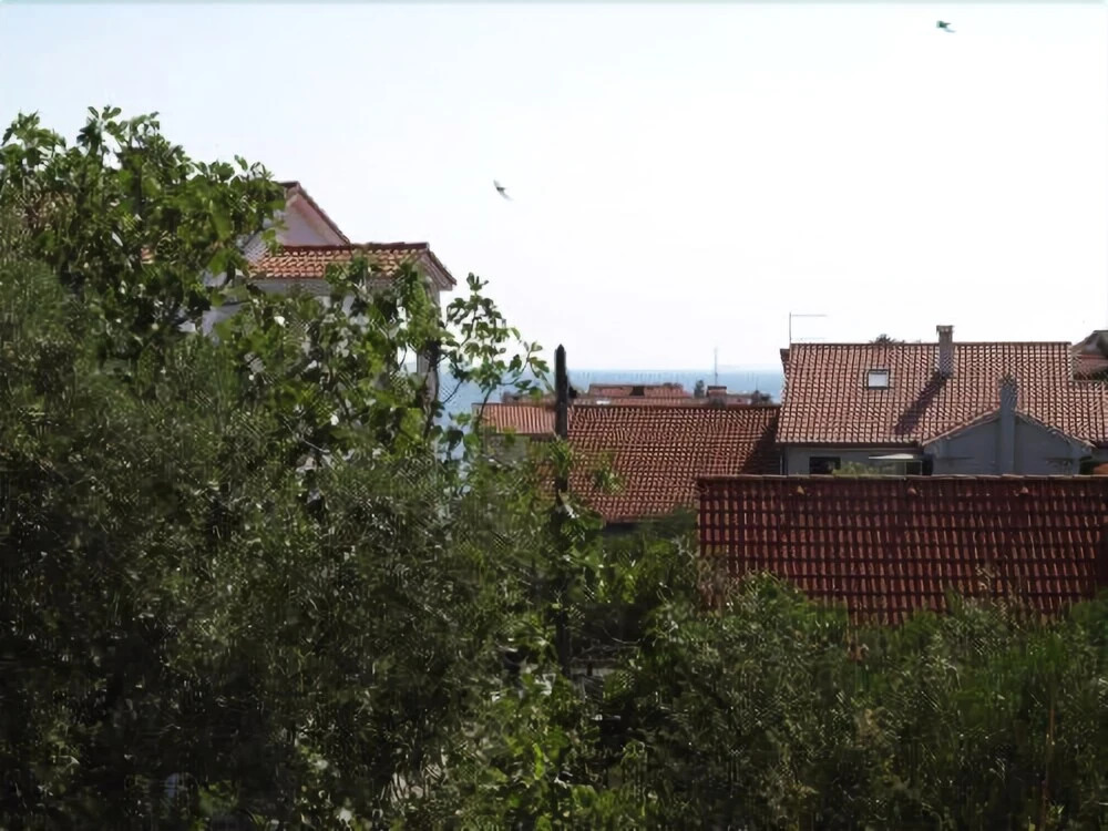 Apartments Anica