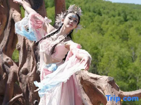 Songshu Inn
