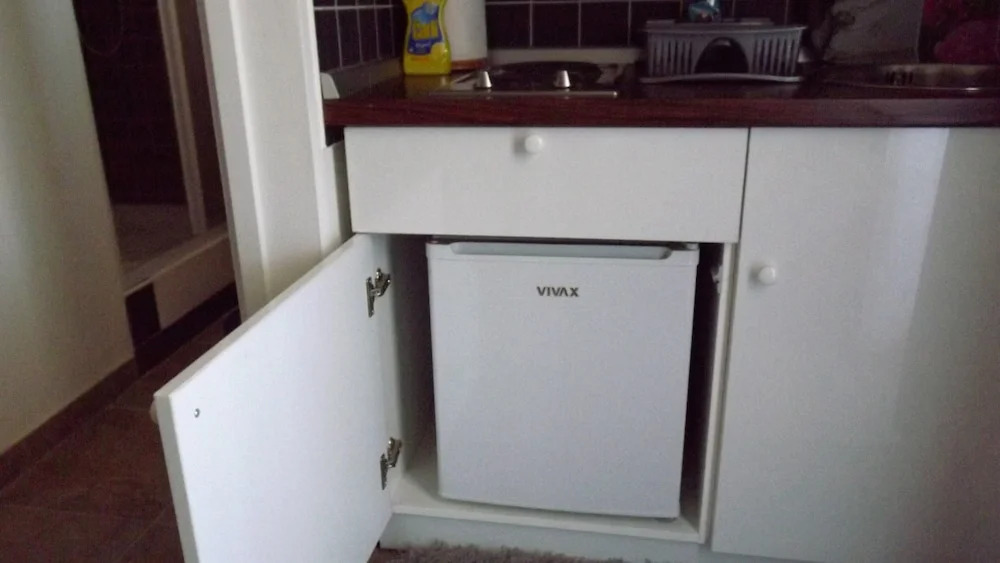 Cozy Apartment 16 With Double bed Sleeper Couch