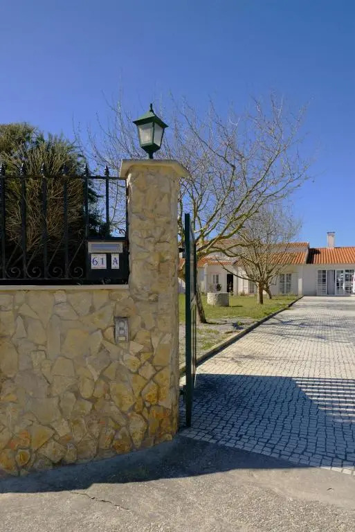 FreeSurfCamp