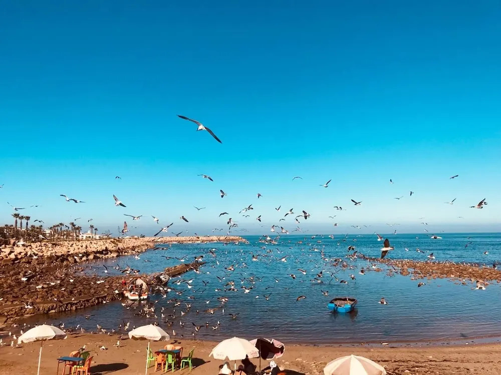Apartment With 2 Bedrooms in Casablanca, With Wonderful sea View, Pool