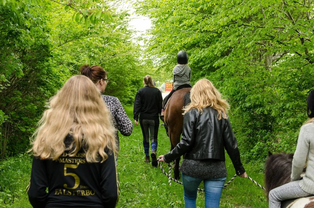 Lægårdens Camping