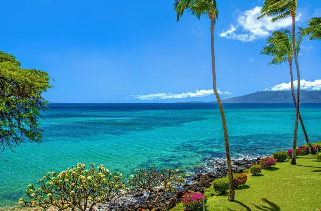 Kuleana Resort 719