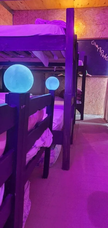 Candy House - Hostel