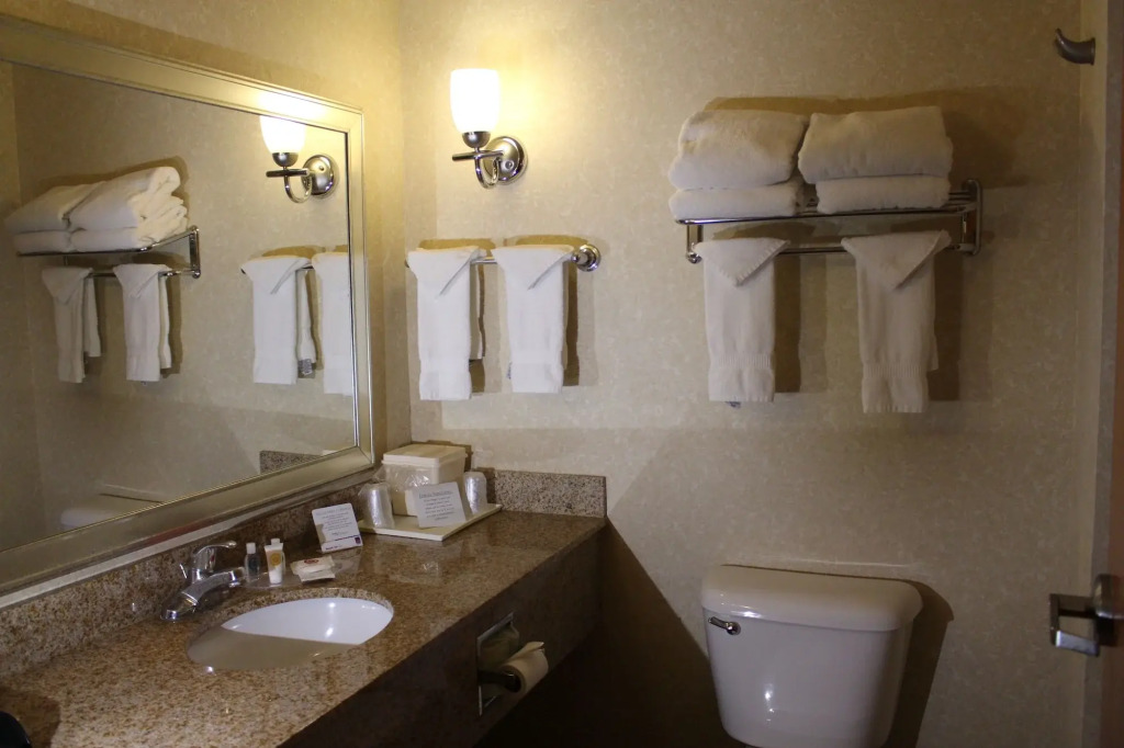 Comfort Suites Canton - Detroit