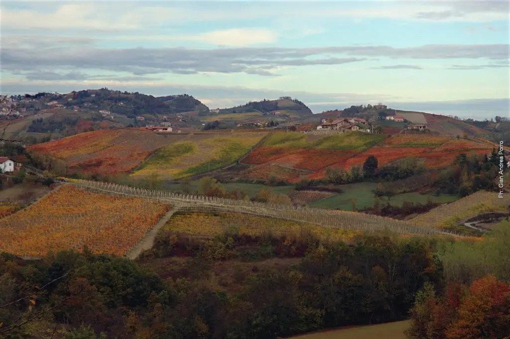 Casapecchenino