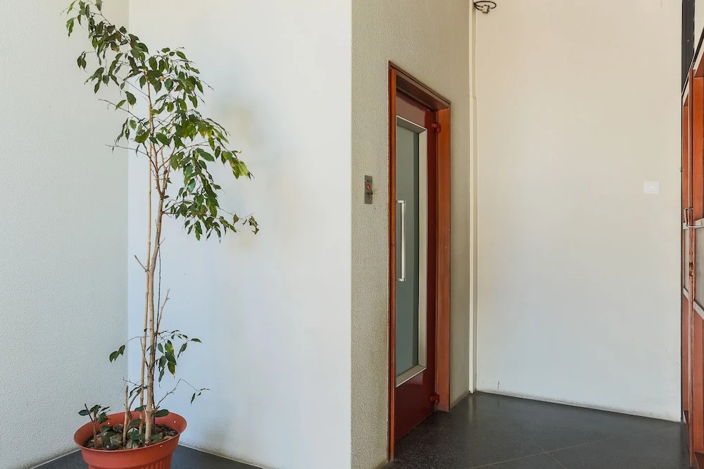 Bolha1 · Bright Apartment in a Traditional Area of Porto