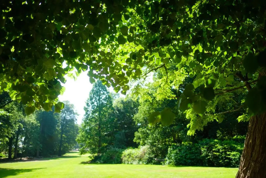 Landgoed Rhederoord nabij Arnhem