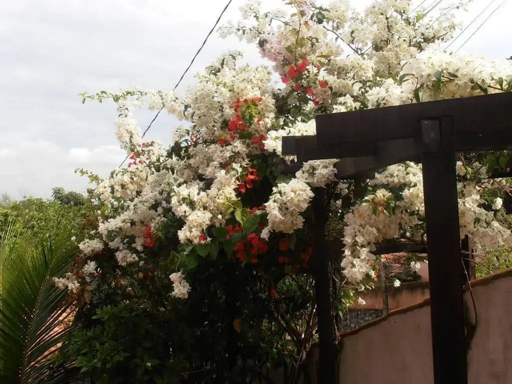 Pousada Vila Magiosa