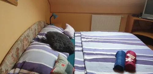 Apartmán U Štefků