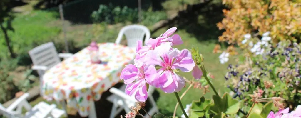 B&B Via Roma