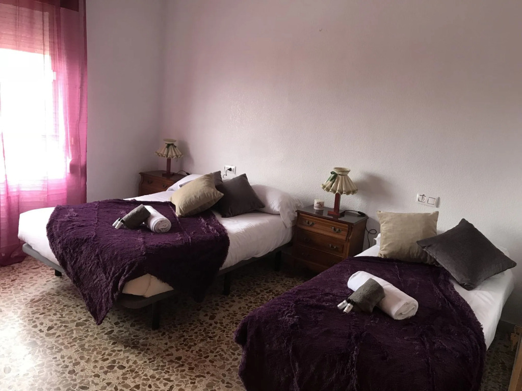 Homely apartments La Mata Centro