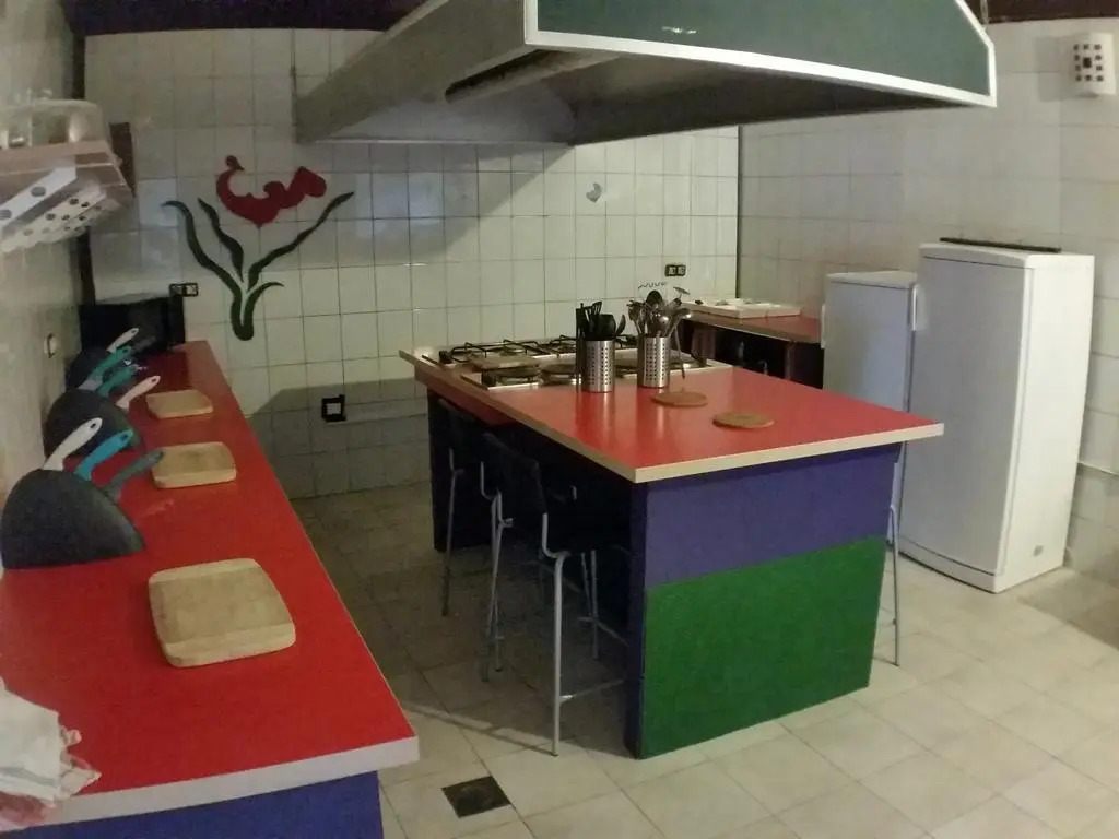 The Lazy Monkey Hostel & Apartments