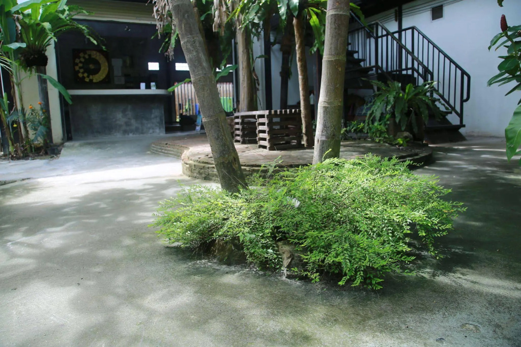 Freedom Hostel at Phi Phi