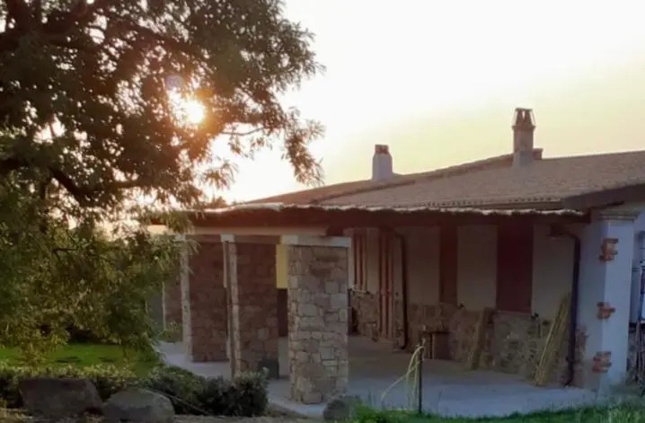 L'oliveto