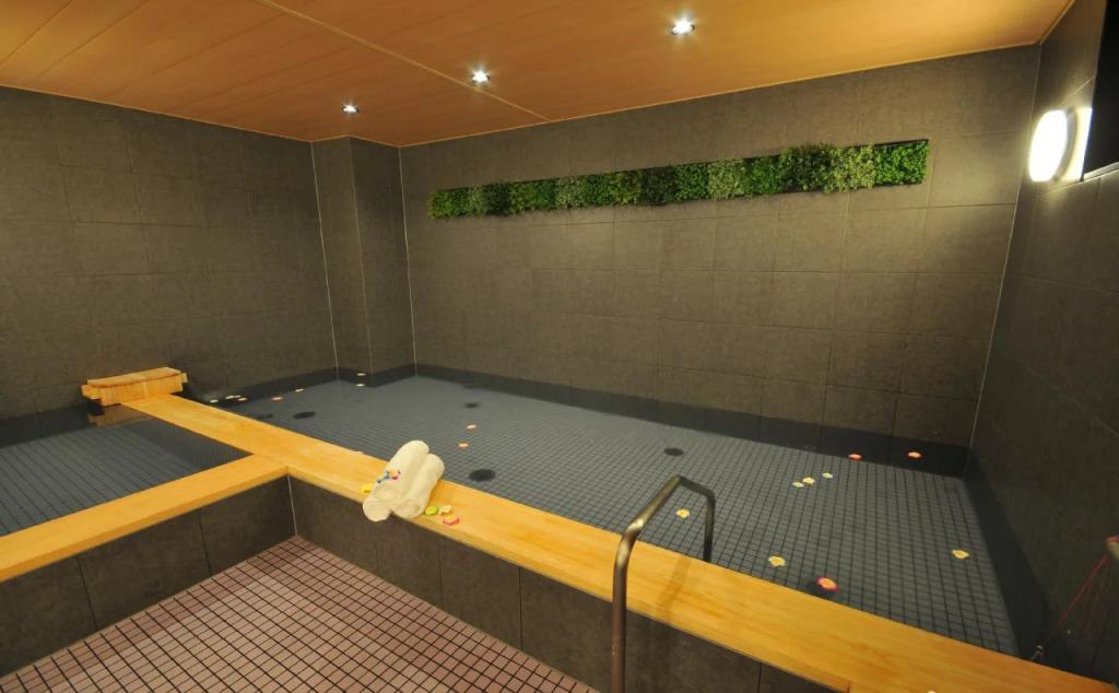 Grand Park Hotel The Luxueux Minami Kashiwa
